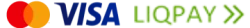 Visa Mastercard logo